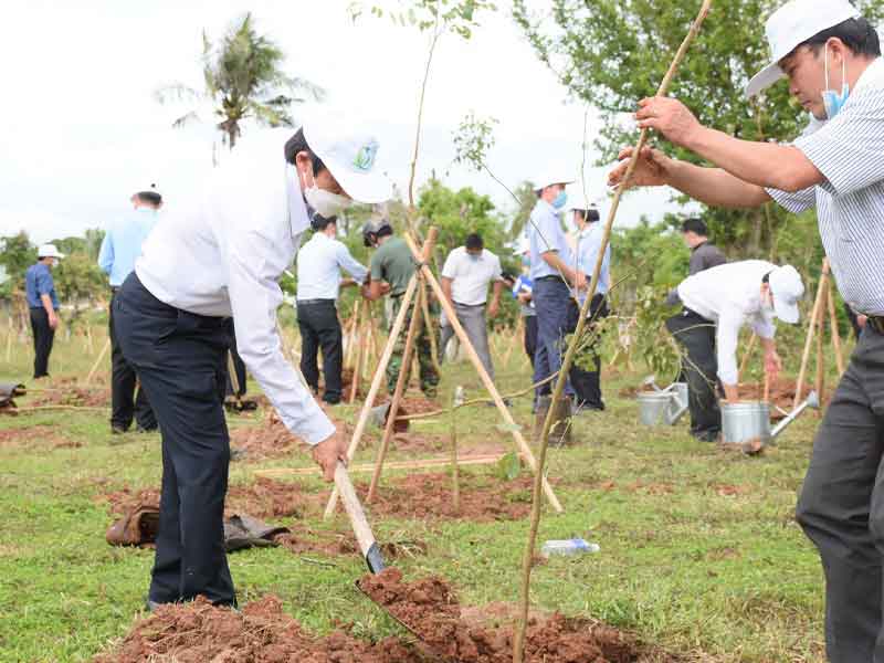 Tiêu chuẩn thi công và nghiệm thu trồng cây xanh