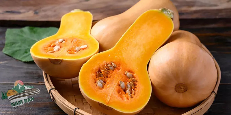 bí đỏ hồ lô