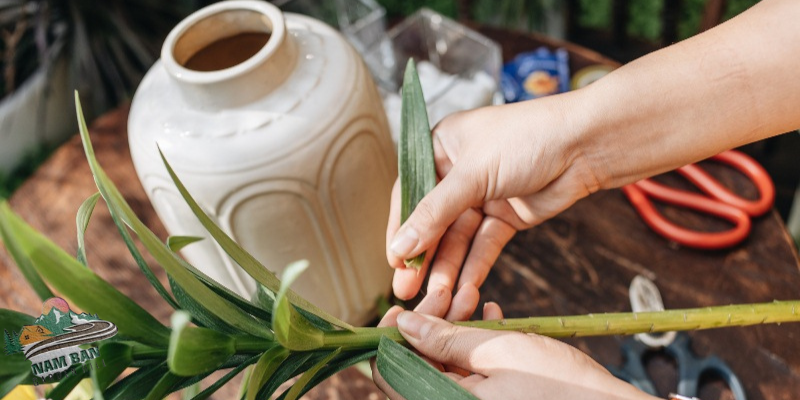 Cách cắm hoa tươi lâu